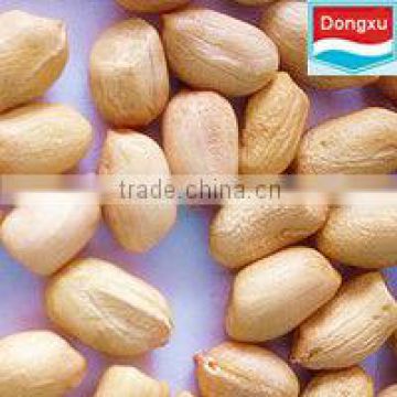 groundnuts and peanuts baisha 40/50