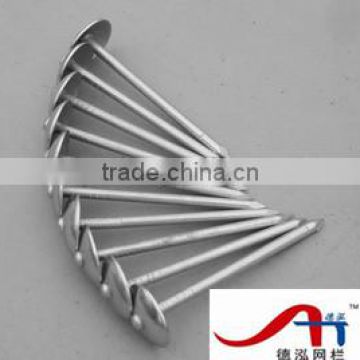 widely used hardware common iron nails(manufacture)