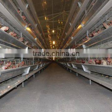 Customer Designed Layers Poultry Chicken Cage