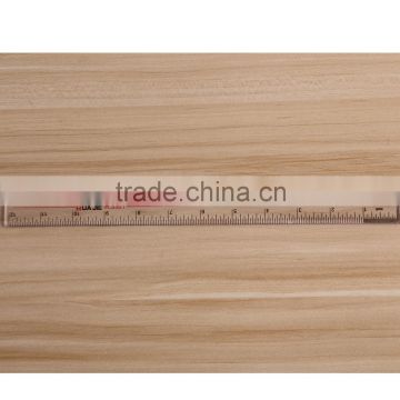 Customized Custom made PS ruler with 30cm scale