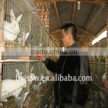 Commerical Rabbit Cage With Assessories