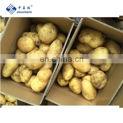 Sinocharm A Grade Fresh Potato