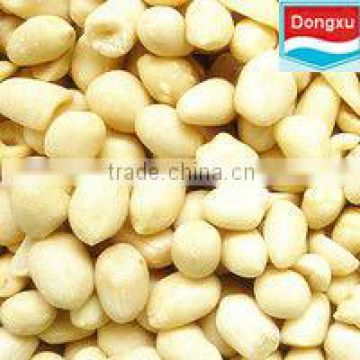 organic blanched peanut kernels 50/60