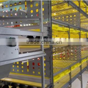 layers broilers pullet chicken cage manure belt chicken cages