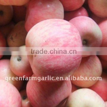 price of fuji apple 2012