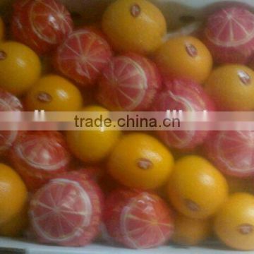 Egyptian lemon/ Navel / Valencia Oranges
