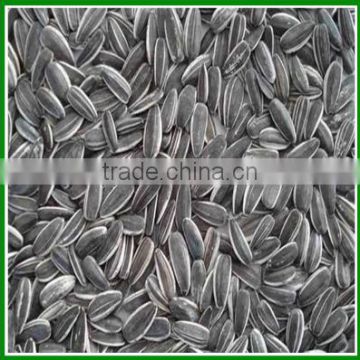Sale China Raw Cheap Sunflower Seeds For Pet Food