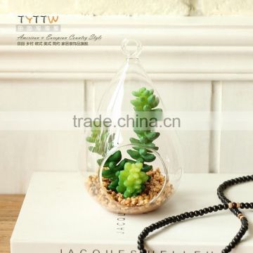 Micro landscape ecological water drop cone shape Meaty plant glass vase DIY glass bottles moss 16L009