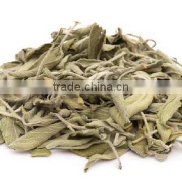 Supplier of Sage leaves dry