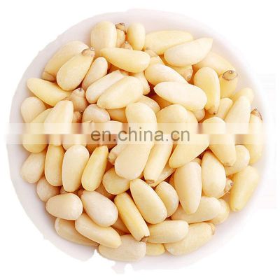 China Byloo organic cheap bulk pine nut kernels