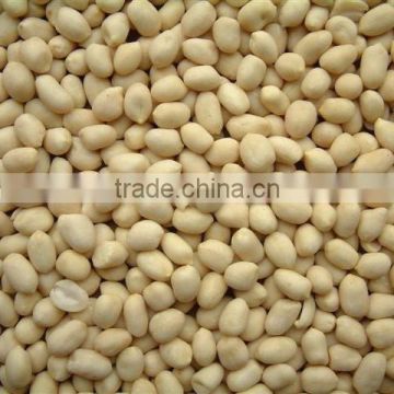 High quality blanched peanuts 61/71 2014 hot sale