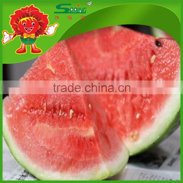no frozen watermelon cheap chinese fresh watermelon fake watermelon