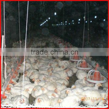 Automatic broiler Pan Feeding System for chickens