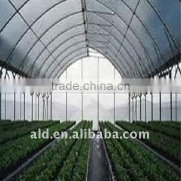 Clear cheap Special Designed Vegetables Insect Screen