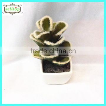 12cm new design hot sale artificial cactus flowering plants