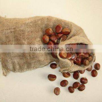 5kg gunny bag fresh chestnut