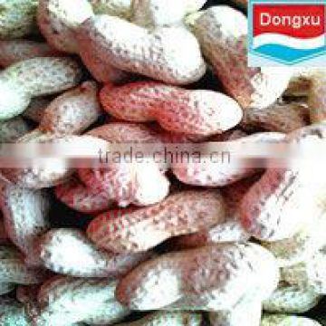factory peanut in shell