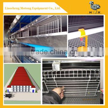 A type galvanized layer chicken Cage bird cage poultry cage