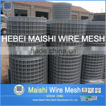 Welded Wire Mesh/Galvanized Welded Wire Mesh