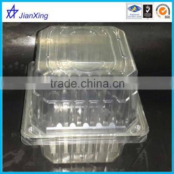 PP disposable plastic container for fruit/vegetable