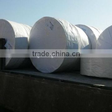 pp woven fabric for packing rice,flour,sand,fertilizer,vegetables and so on