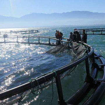 Round Aquaculture Cage System Cage Fish Farming