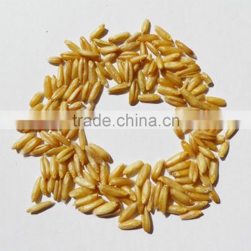 organic Chinese oat/hulless oat