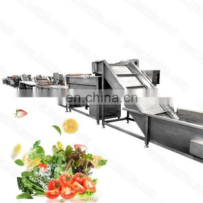 Industrial Fruit Vegetable Air Bubble Cleaning  Cucumber Leek Washer Tomato Strawberry Cassava Washing Machine