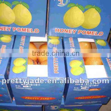 new chinese pomelo