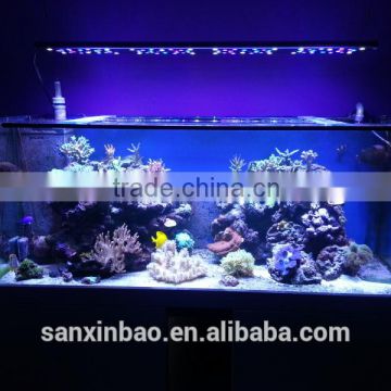 48 LED reef light EverGrow IT5012 led aquarium light of IT Aqua