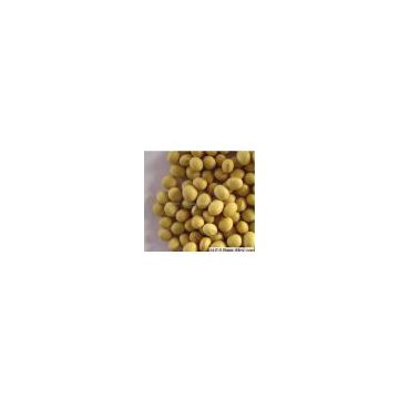 Soybean Extract 40% Isoflavones