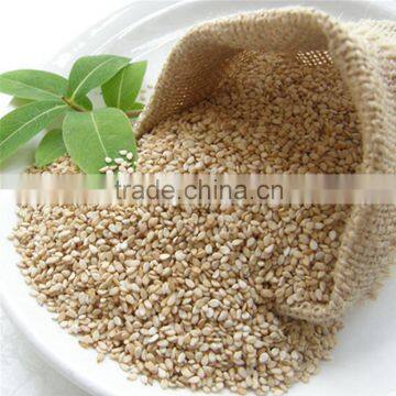 white sesame seeds specifications