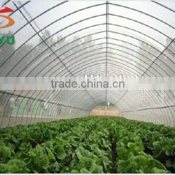 Singel span vegetable greenhouse