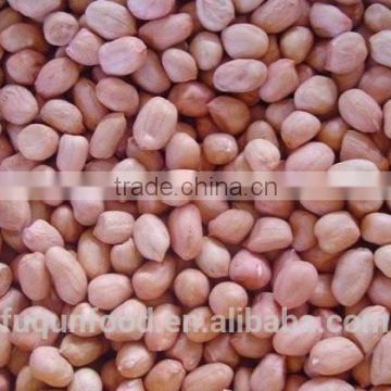 chinese red skin peanut kernel