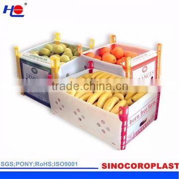 Plastic Fruit Carton