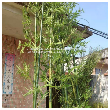 Artificial new design and high simulation green bamboo tree for home decoration
