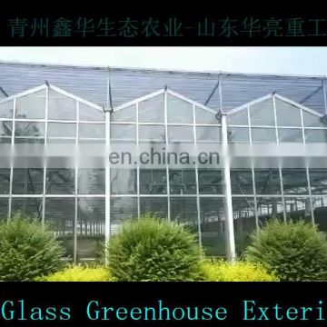 Venlo Type Glass Greenhouse for Vegetables