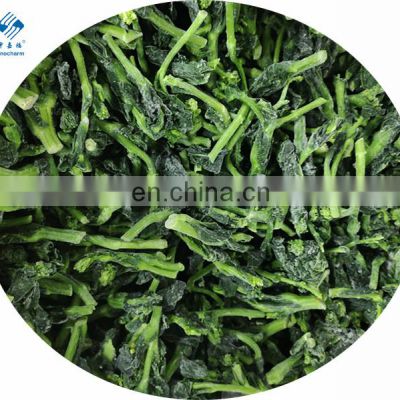 High Quality 2020 New Crop IQF Frozen Chinese Kale