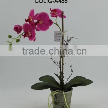 potted plant artificial orchid flowers