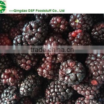 IQF frozen blackberry grade a with kosher certificate