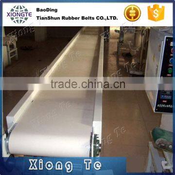 China supplier wholesale white non-toxic fruit conveyor belt