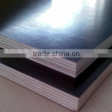 Chinese black film faced plywood