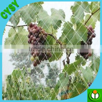 Factory directly supply vineyard green anti bird netting