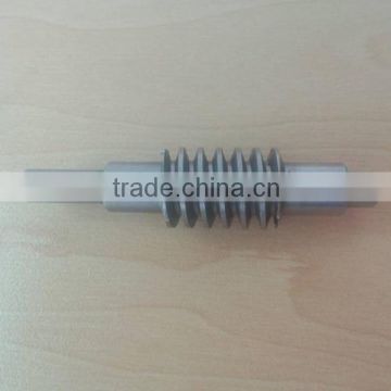 High Precision Stainless Steel Small Worm Gear