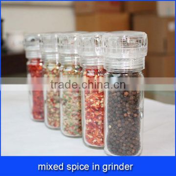 mixed spice in grinder