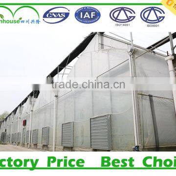 High quality plastic film commercial greenhouse for sale