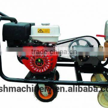 WISH agriculture hand push power high pressure sprayer