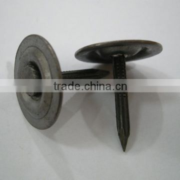 Metal round cap masnory nails/iron nails/roofing nails