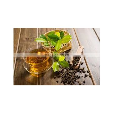 100% Assured Quality Ortho Tea Exporters