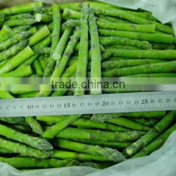 Best Frozen asparagus from China supply